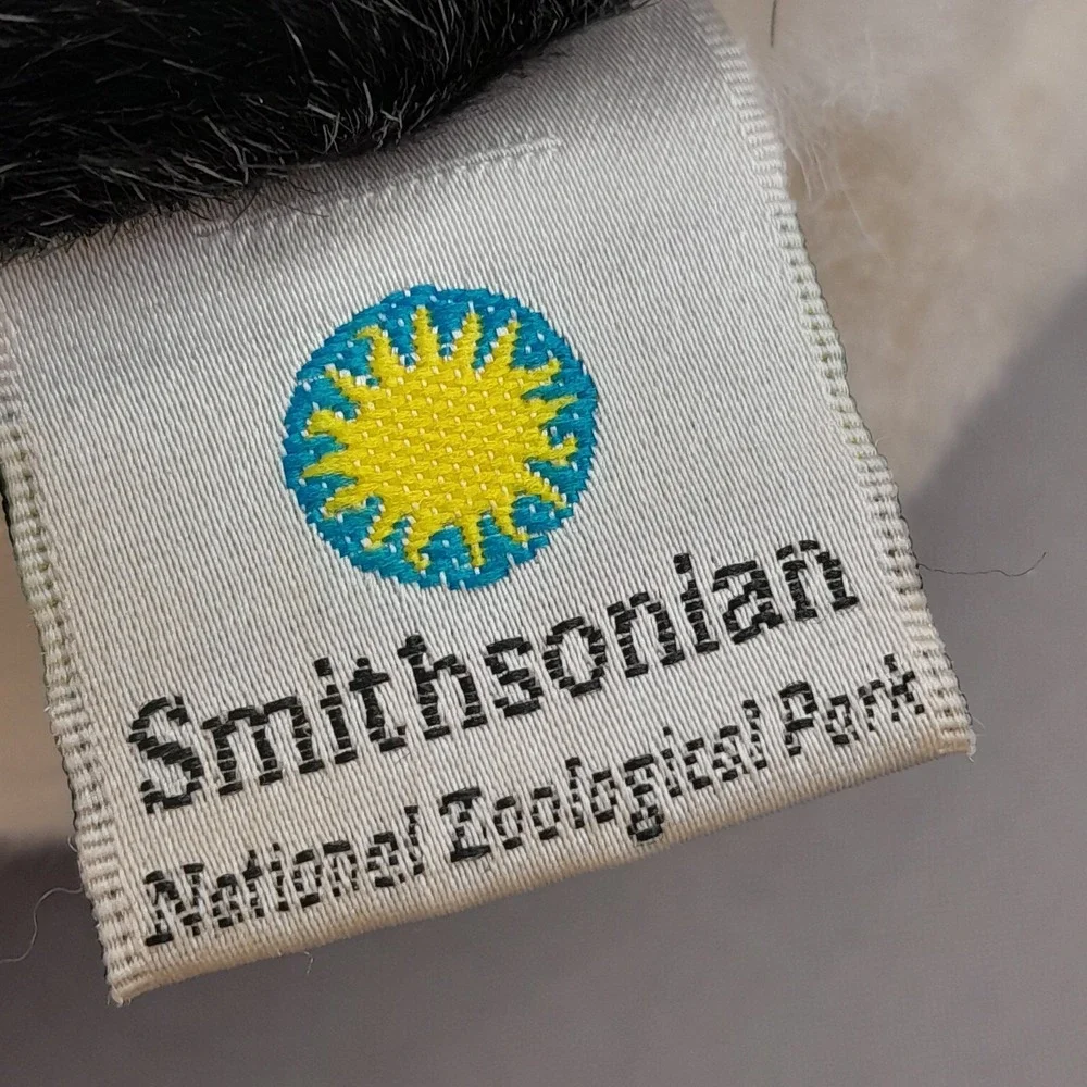 Smithsonian National Zoo Panda Bear 10